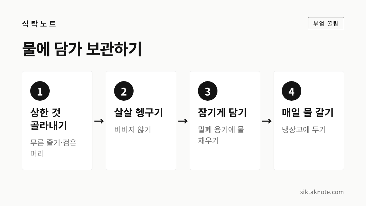 물에 담가 보관하기 — 1. 상한 것 골라내기 (무른 줄기·검은 머리) — 2. 살살 헹구기 (비비지 않기) — 3. 잠기게 담기 (밀폐 용기에 물 채우기) — 4. 매일 물 갈기 (냉장고에 두기)