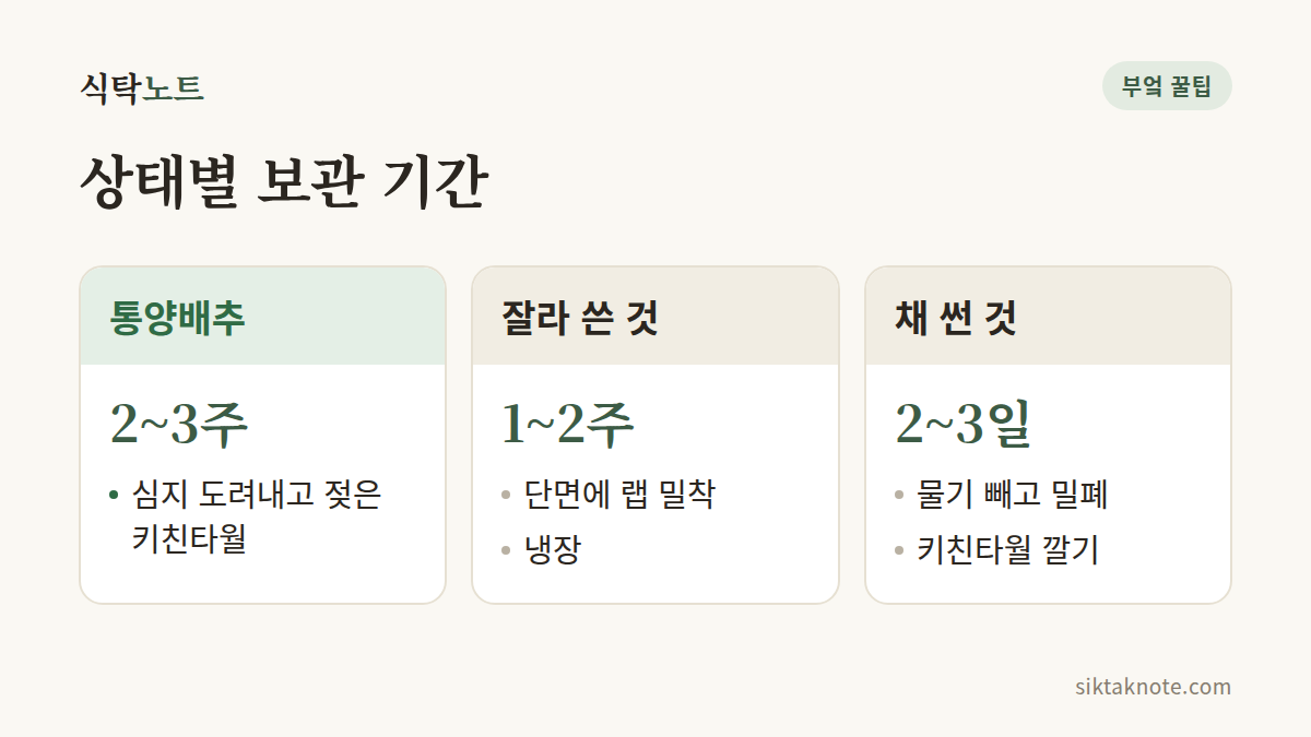 상태별 보관 기간 — 통양배추 2~3주: 심지 도려내고 젖은 키친타월 — 잘라 쓴 것 1~2주: 단면에 랩 밀착, 냉장 — 채 썬 것 2~3일: 물기 빼고 밀폐, 키친타월 깔기