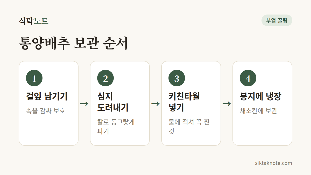 통양배추 보관 순서 — 1. 겉잎 남기기 (속을 감싸 보호) — 2. 심지 도려내기 (칼로 동그랗게 파기) — 3. 키친타월 넣기 (물에 적셔 꼭 짠 것) — 4. 봉지에 냉장 (채소칸에 보관)