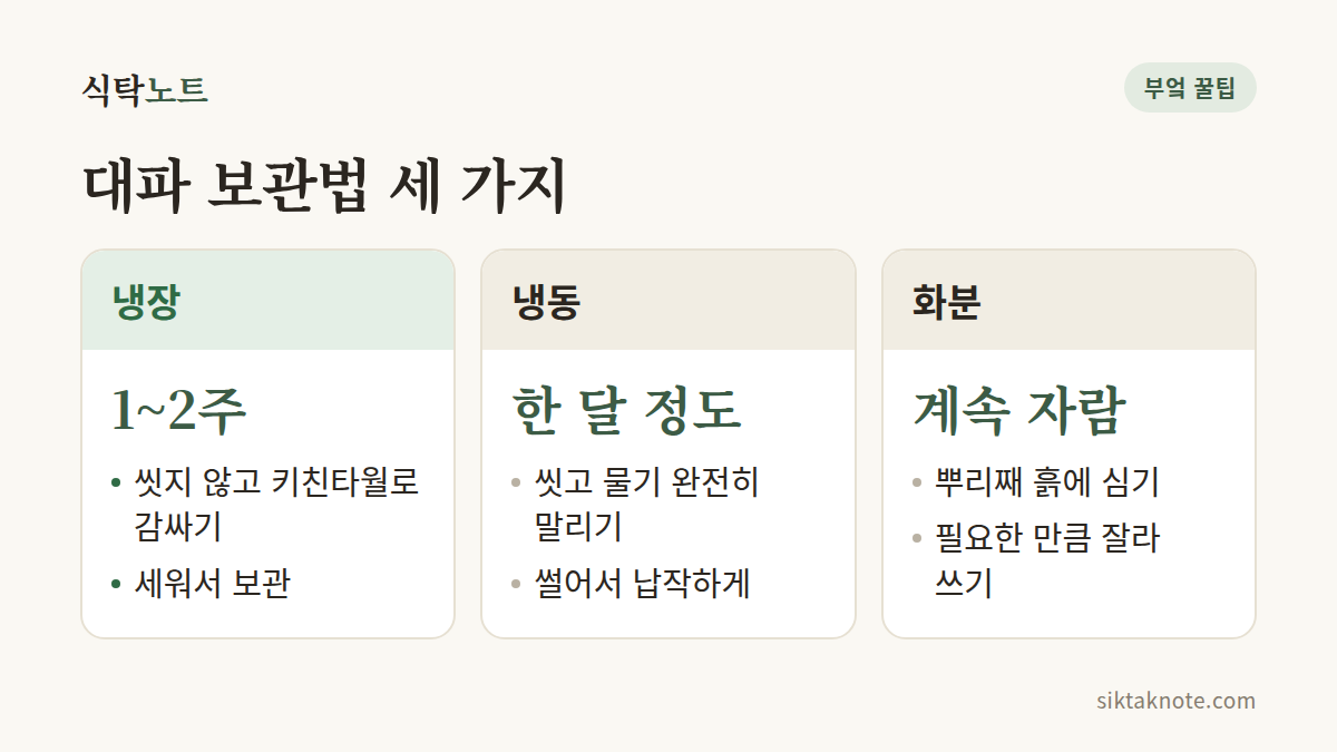 대파 보관법 세 가지 — 냉장 1~2주: 씻지 않고 키친타월로 감싸기, 세워서 보관 — 냉동 한 달 정도: 씻고 물기 완전히 말리기, 썰어서 납작하게 — 화분 계속 자람: 뿌리째 흙에 심기, 필요한 만큼 잘라 쓰기