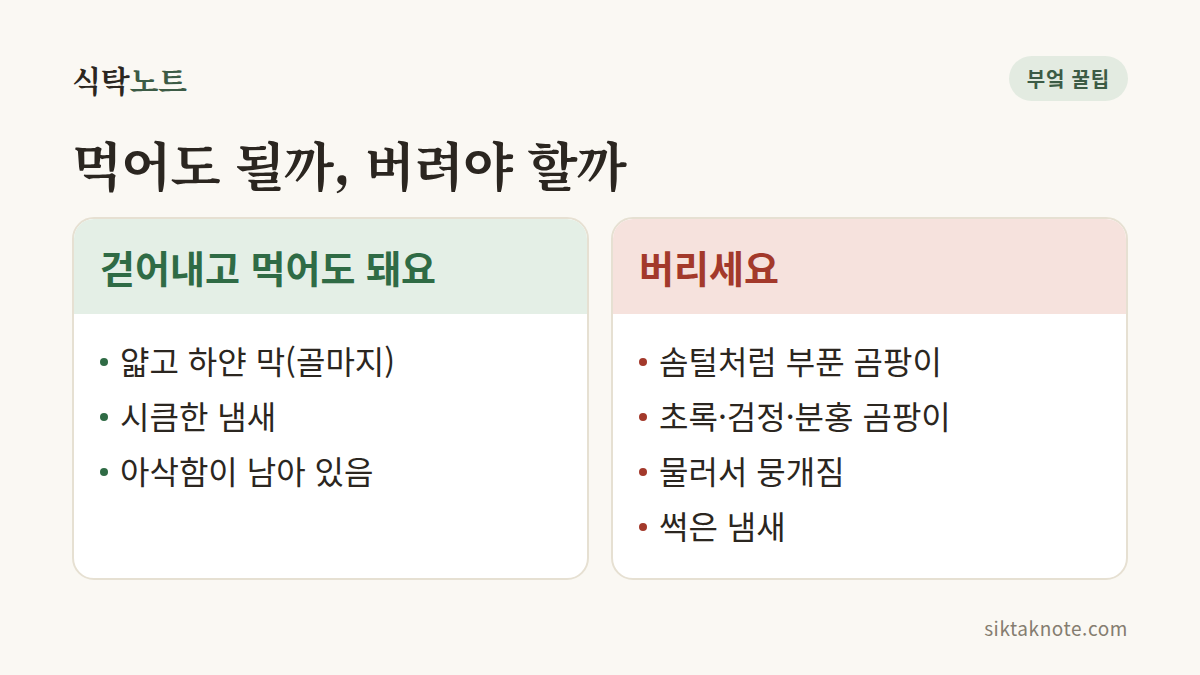 먹어도 될까, 버려야 할까 — 걷어내고 먹어도 돼요: 얇고 하얀 막(골마지), 시큼한 냄새, 아삭함이 남아 있음 — 버리세요: 솜털처럼 부푼 곰팡이, 초록·검정·분홍 곰팡이, 물러서 뭉개짐, 썩은 냄새