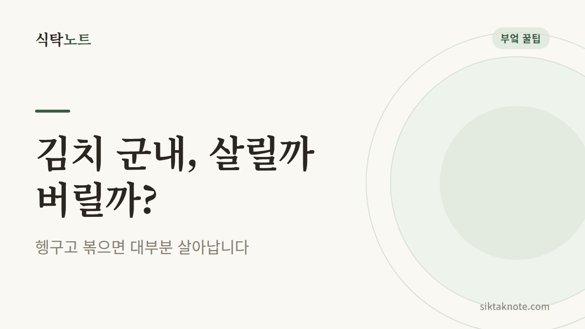 김치 군내, 살릴까 버릴까? — 헹구고 볶으면 대부분 살아납니다
