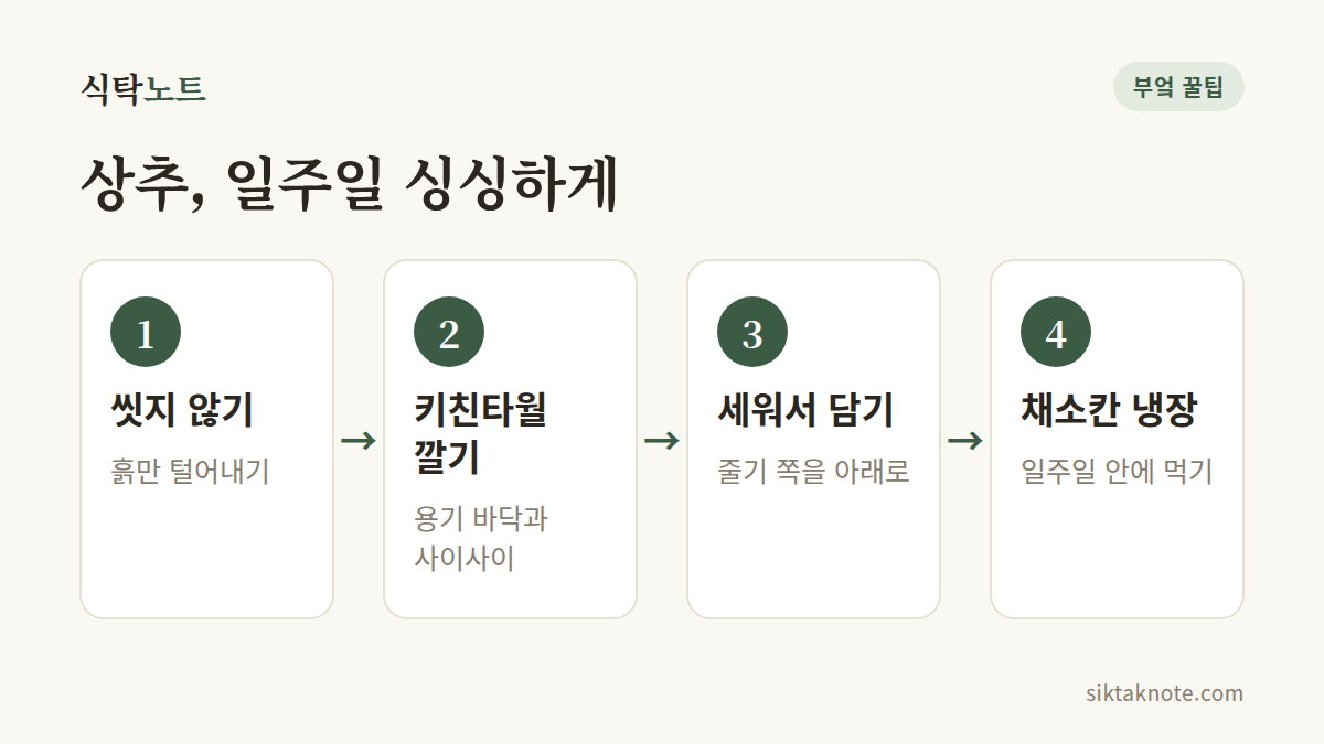 상추, 일주일 싱싱하게 — 1. 씻지 않기 (흙만 털어내기) — 2. 키친타월 깔기 (용기 바닥과 사이사이) — 3. 세워서 담기 (줄기 쪽을 아래로) — 4. 채소칸 냉장 (일주일 안에 먹기)