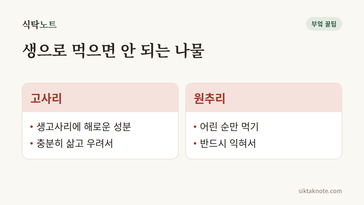 생으로 먹으면 안 되는 나물 — 고사리: 생고사리에 해로운 성분, 충분히 삶고 우려서 — 원추리: 어린 순만 먹기, 반드시 익혀서