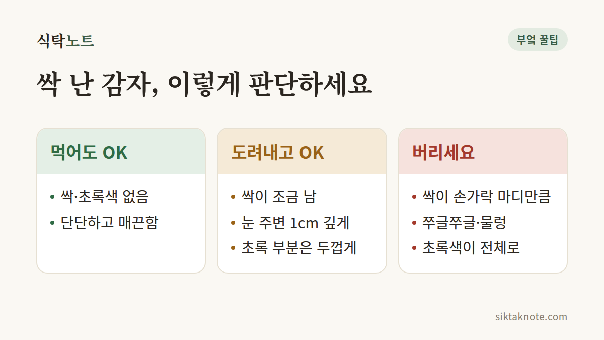 싹 난 감자, 이렇게 판단하세요 — 먹어도 OK: 싹·초록색 없음, 단단하고 매끈함 — 도려내고 OK: 싹이 조금 남, 눈 주변 1cm 깊게, 초록 부분은 두껍게 — 버리세요: 싹이 손가락 마디만큼, 쭈글쭈글·물렁, 초록색이 전체로