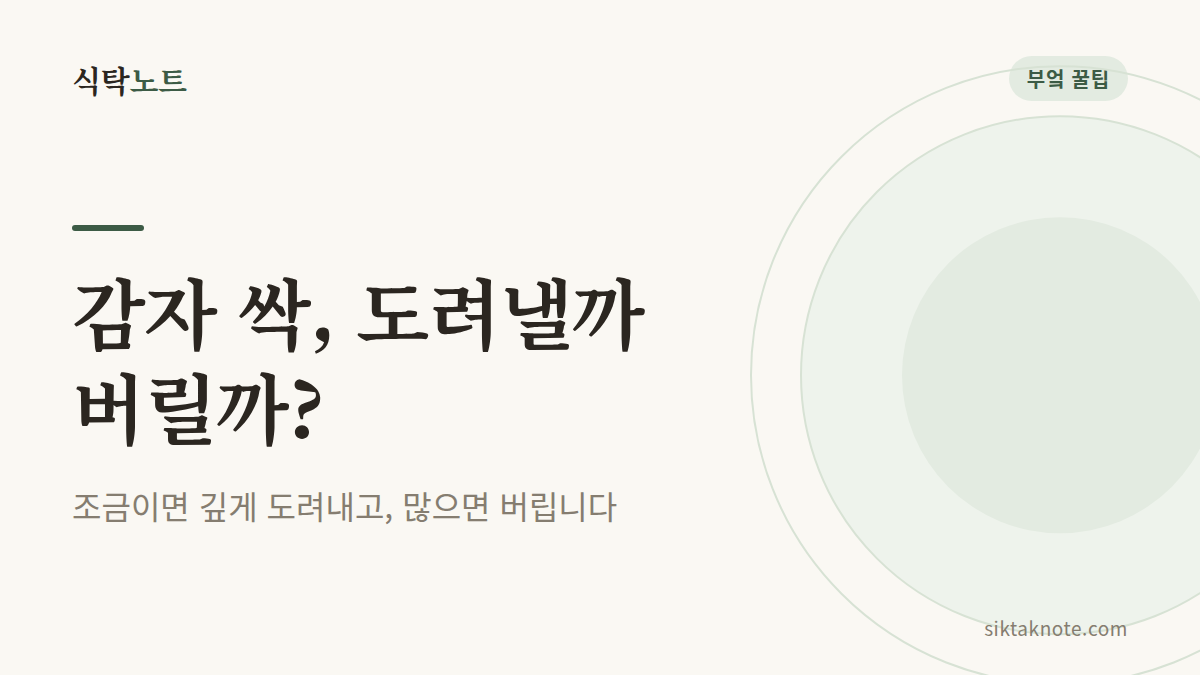 감자 싹, 도려낼까 버릴까? — 조금이면 깊게 도려내고, 많으면 버립니다